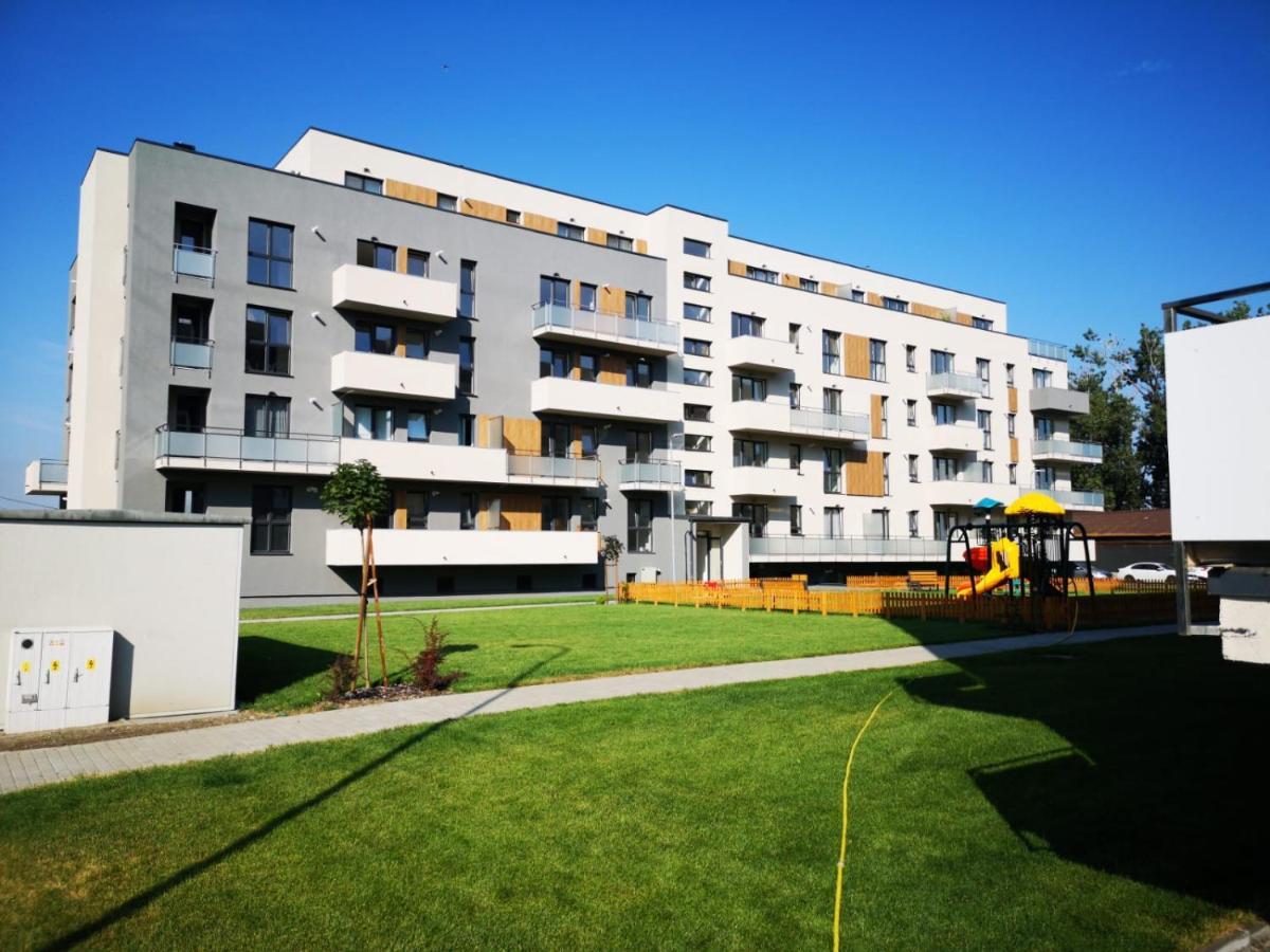 Ludi House Apartment Târgu-Mureş Exterior foto