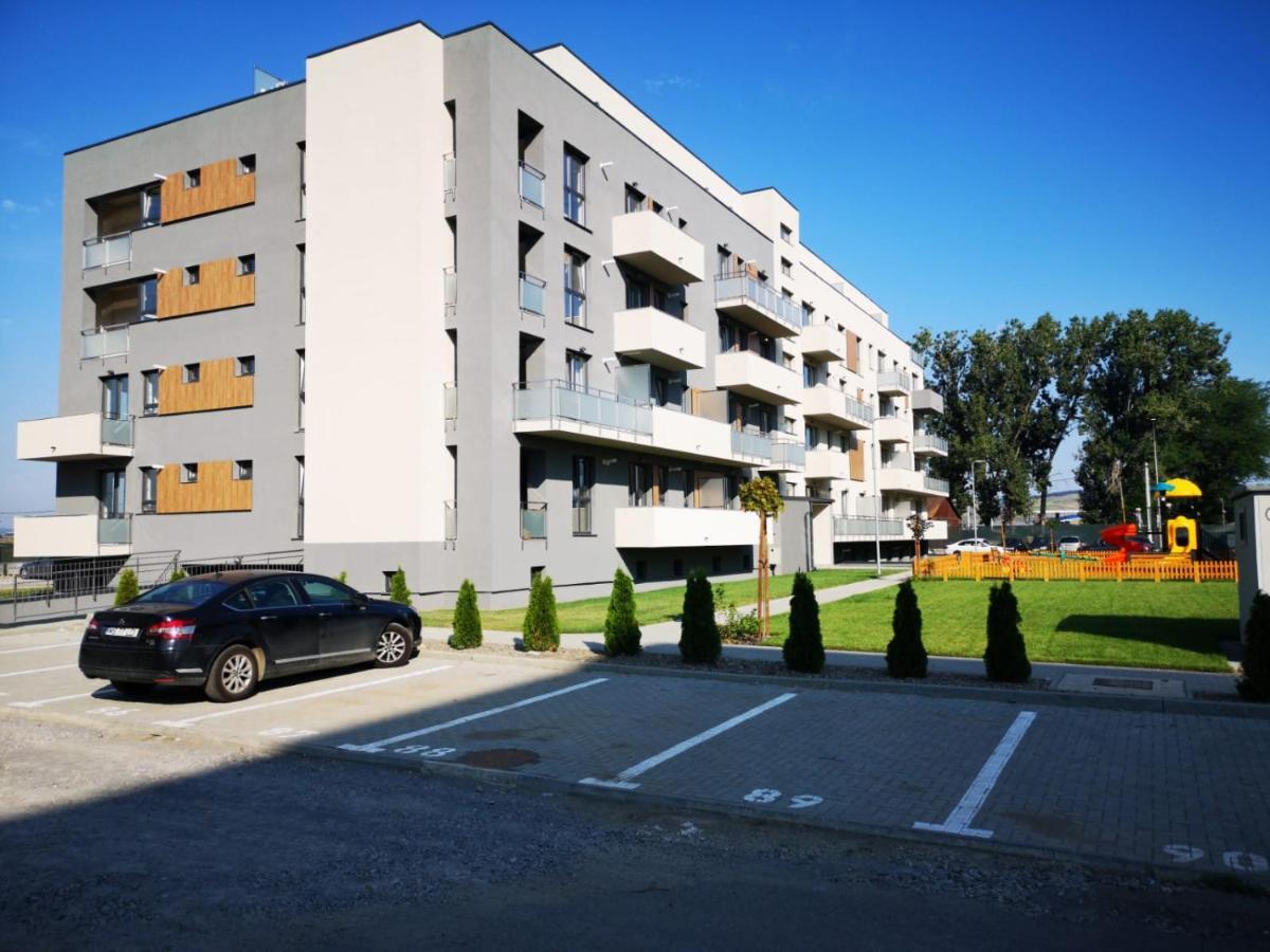 Ludi House Apartment Târgu-Mureş Exterior foto